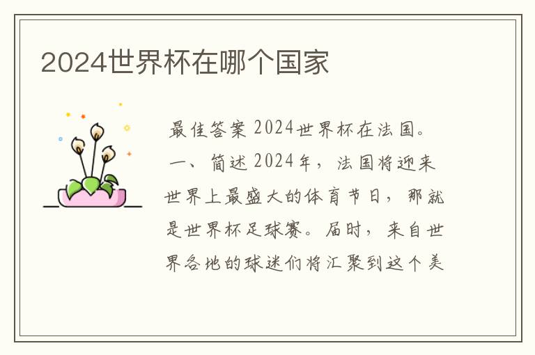 2024世界杯在哪个国家