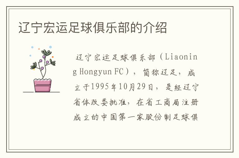 辽宁宏运足球俱乐部的介绍