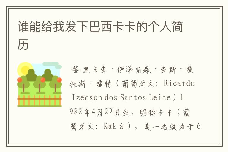 谁能给我发下巴西卡卡的个人简历