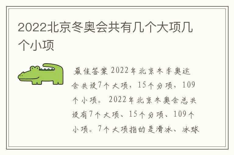2022北京冬奥会共有几个大项几个小项