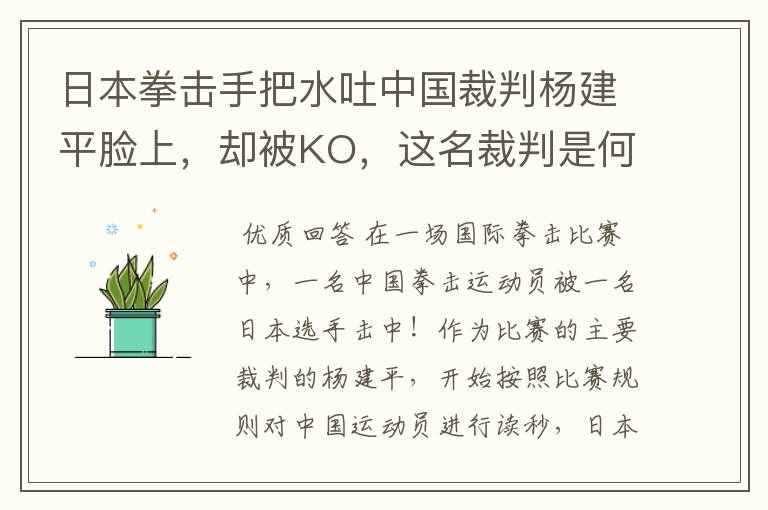 日本拳击手把水吐中国裁判杨建平脸上,却被KO,这名裁判是何来历?