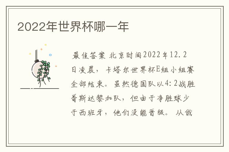 2022年世界杯哪一年