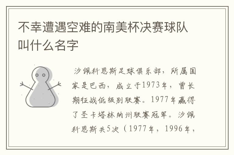 不幸遭遇空难的南美杯决赛球队叫什么名字