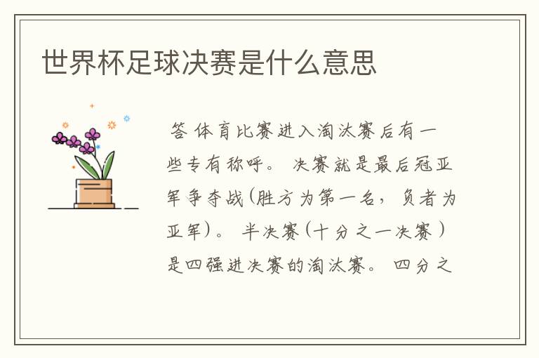 世界杯足球决赛是什么意思