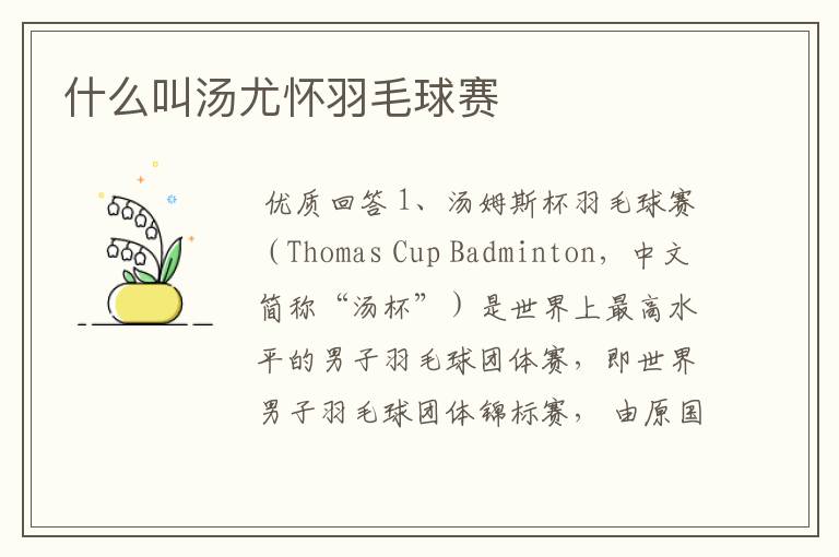 什么叫汤尤怀羽毛球赛