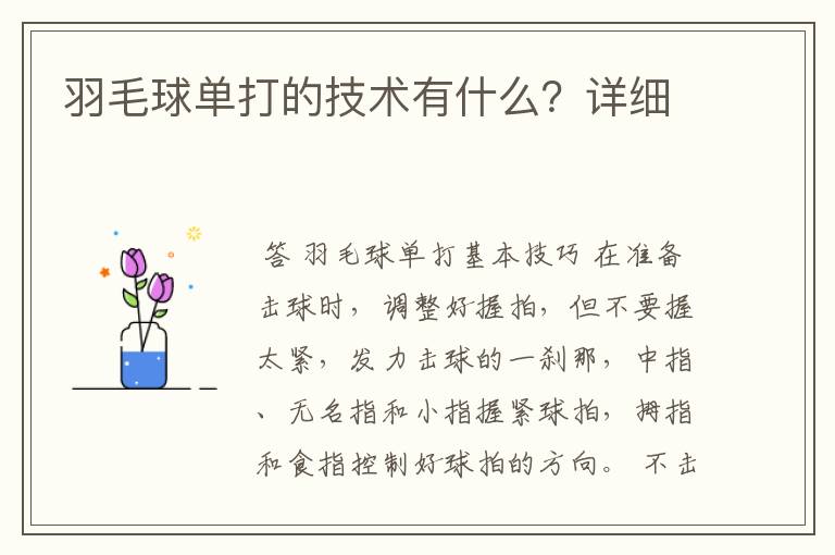羽毛球单打的技术有什么？详细