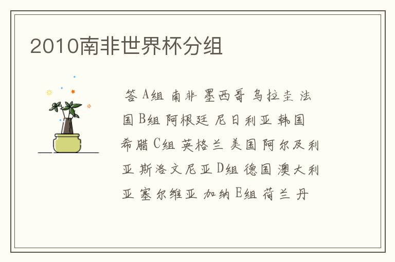 2010南非世界杯分组