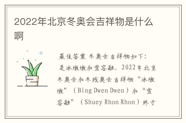 2022年北京冬奥会吉祥物是什么啊