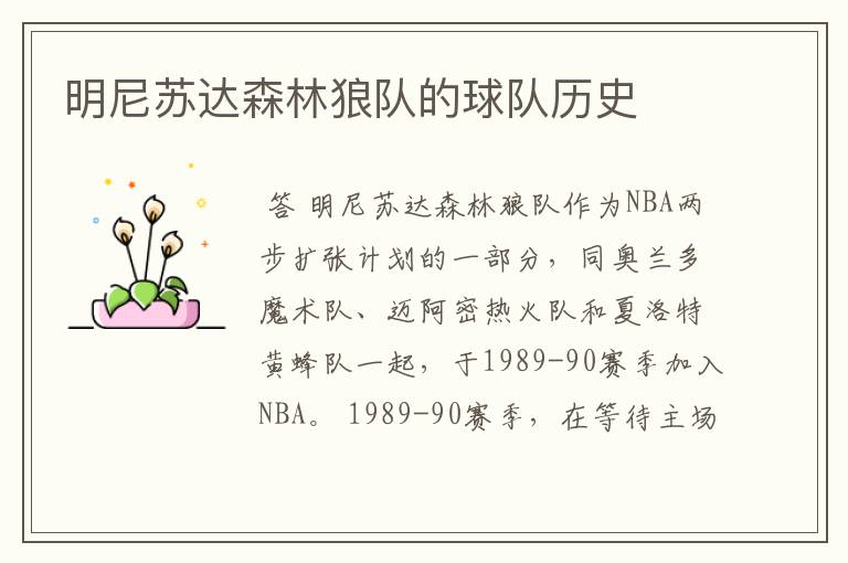 明尼苏达森林狼队的球队历史