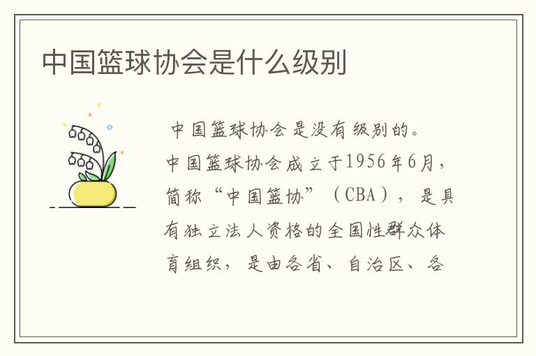 中国篮球协会是什么级别
