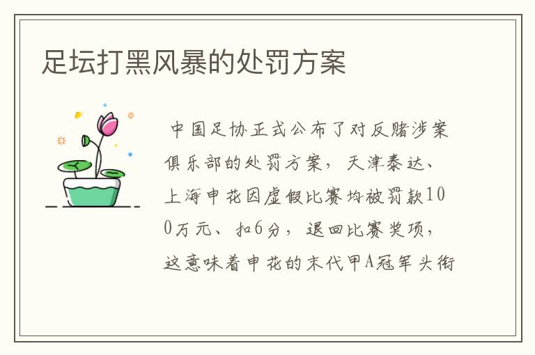 足坛打黑风暴的处罚方案