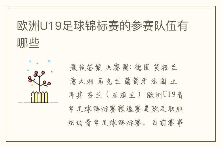 欧洲U19足球锦标赛的参赛队伍有哪些