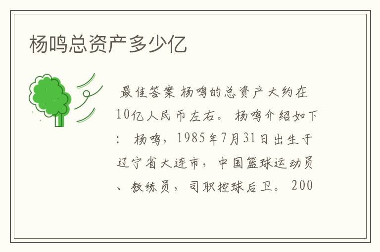 杨鸣总资产多少亿
