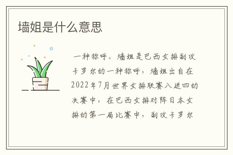墙姐是什么意思