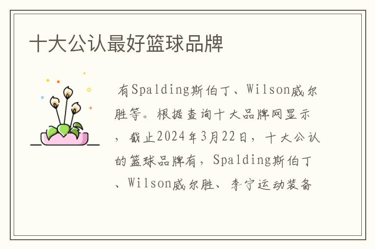 十大公认最好篮球品牌