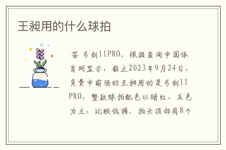 王昶用的什么球拍