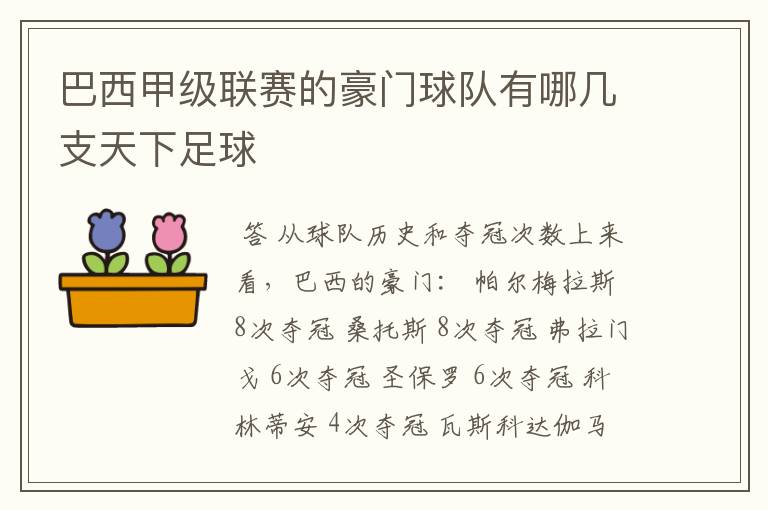 巴西甲级联赛的豪门球队有哪几支天下足球