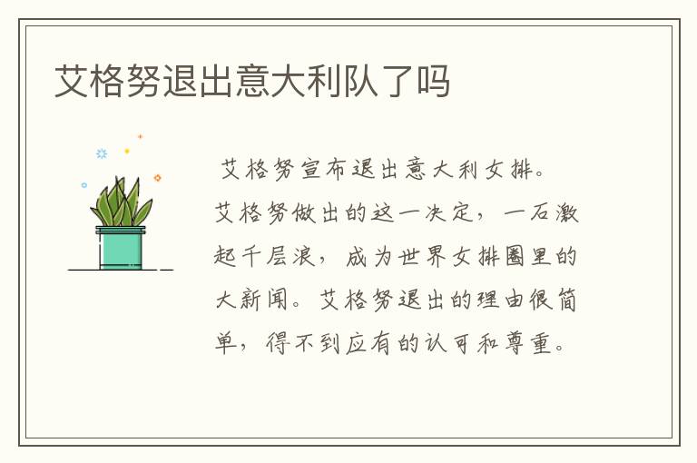 艾格努退出意大利队了吗