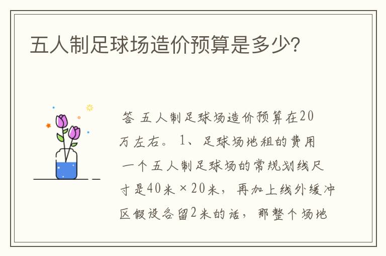 五人制足球场造价预算是多少？