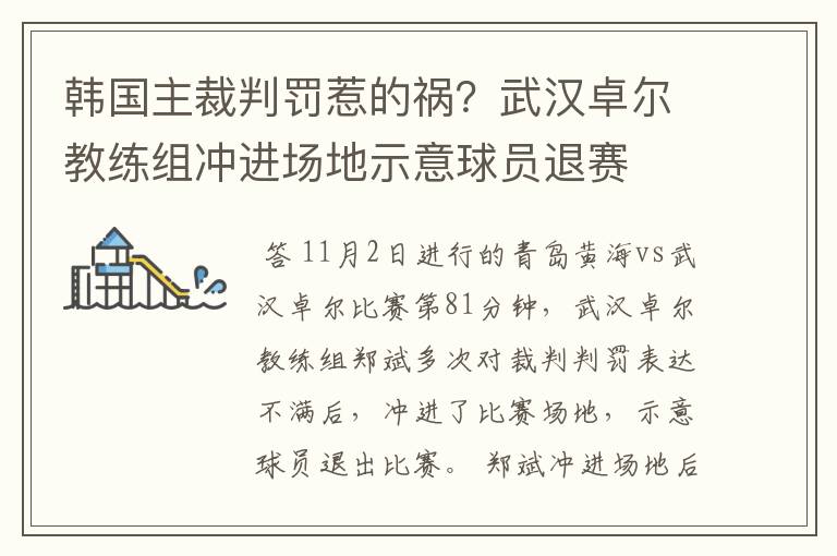 韩国主裁判罚惹的祸?武汉卓尔教练组冲进场地示意球员退赛
