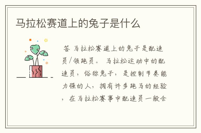 马拉松赛道上的兔子是什么