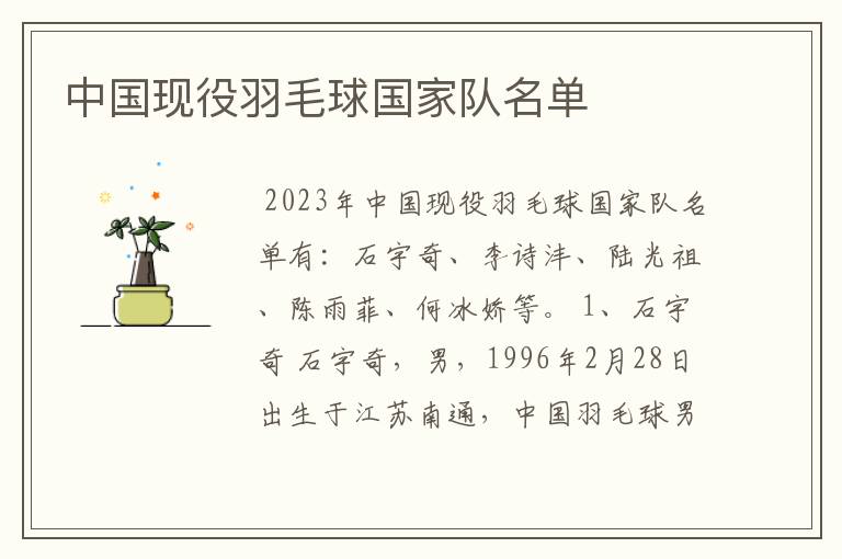 中国现役羽毛球国家队名单