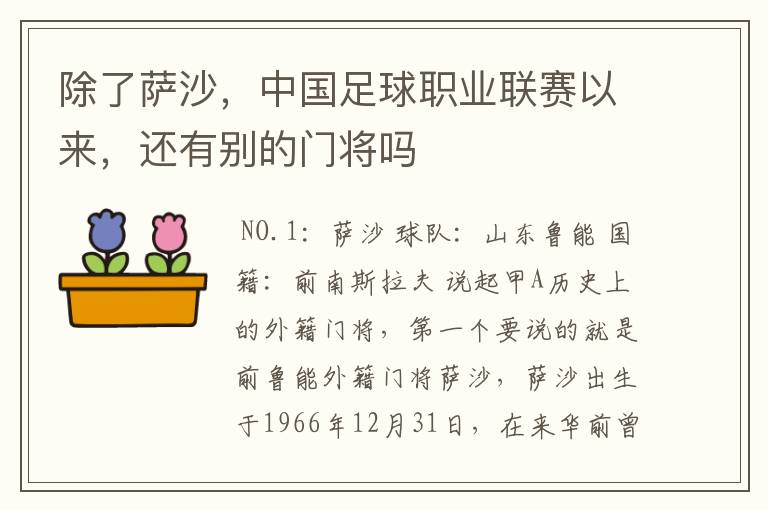 除了萨沙，中国足球职业联赛以来，还有别的门将吗