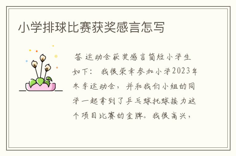 小学排球比赛获奖感言怎写