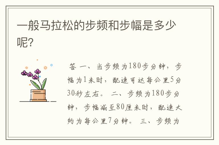 一般马拉松的步频和步幅是多少呢?