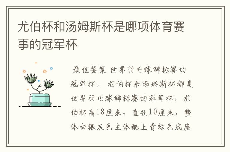 尤伯杯和汤姆斯杯是哪项体育赛事的冠军杯