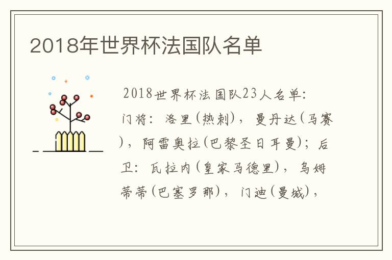 2018年世界杯法国队名单