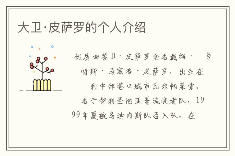 大卫·皮萨罗的个人介绍