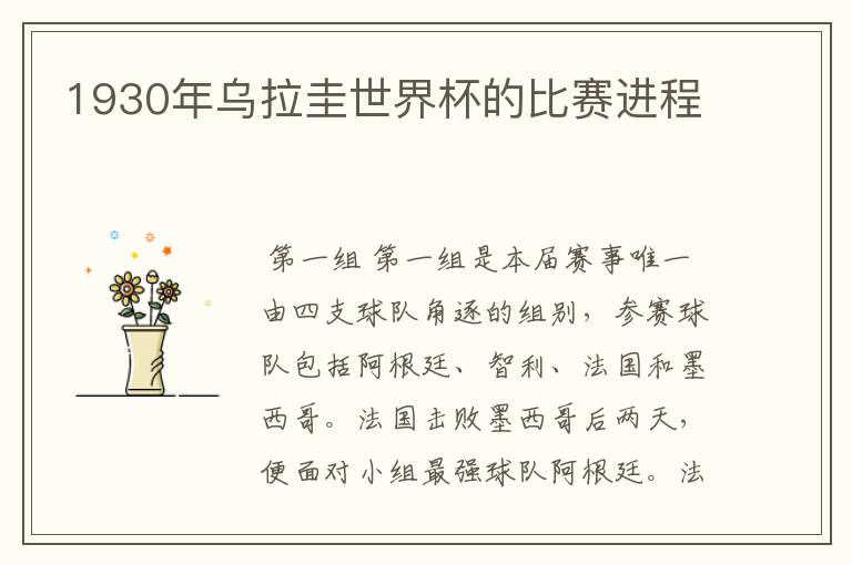 1930年乌拉圭世界杯的比赛进程