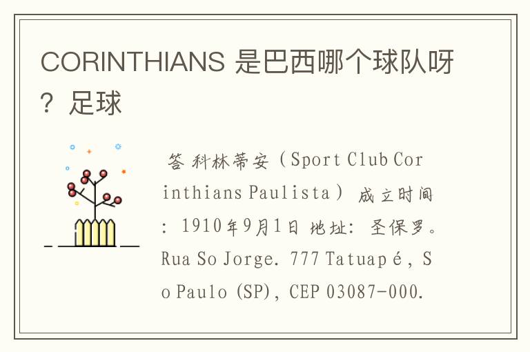 CORINTHIANS 是巴西哪个球队呀?足球