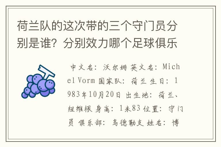荷兰队的这次带的三个守门员分别是谁？分别效力哪个足球俱乐部？