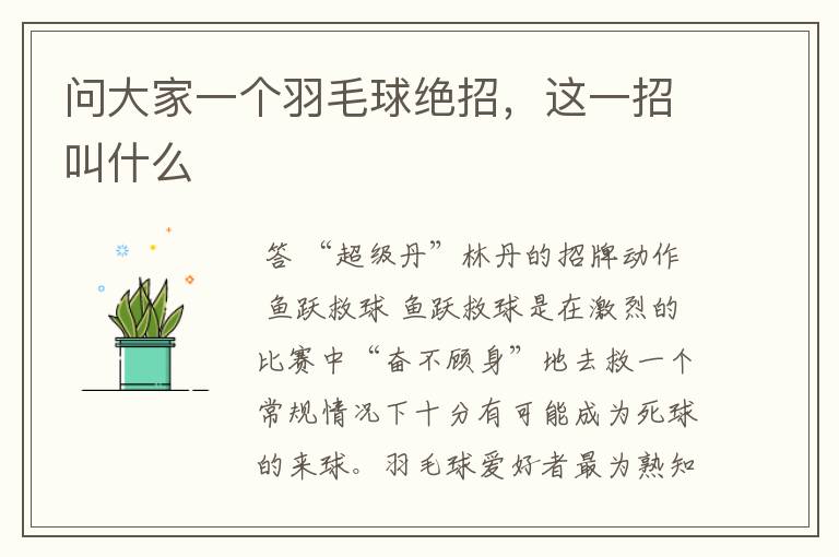 问大家一个羽毛球绝招,这一招叫什么