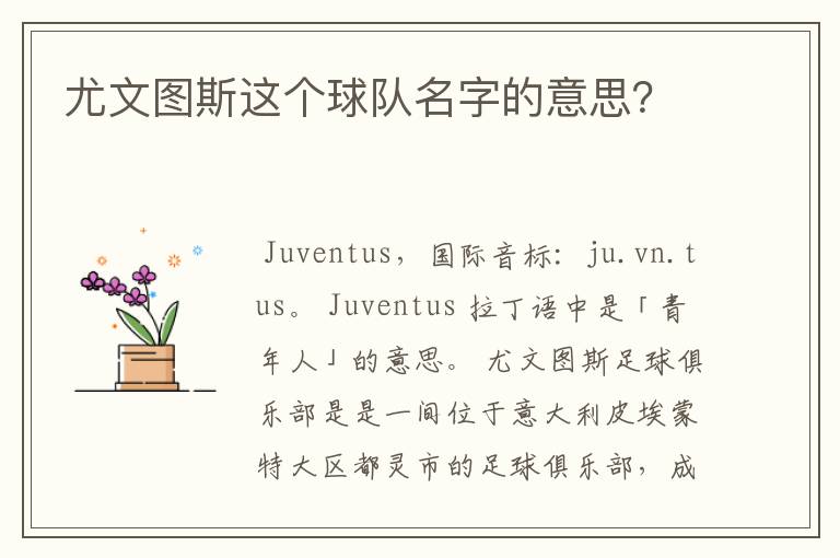 尤文图斯这个球队名字的意思?