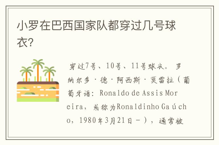 小罗在巴西国家队都穿过几号球衣?