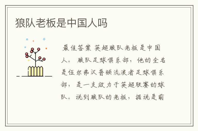 狼队老板是中国人吗