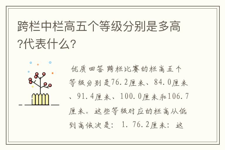 跨栏中栏高五个等级分别是多高?代表什么?