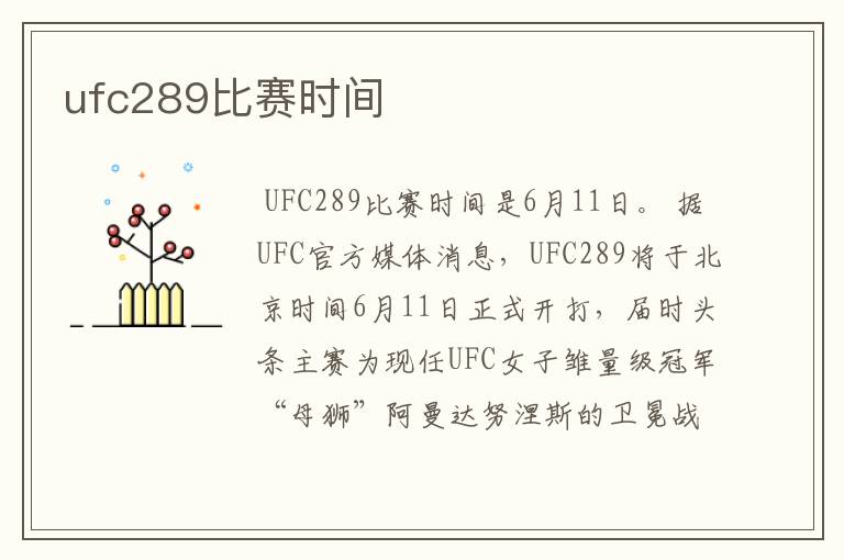ufc289比赛时间
