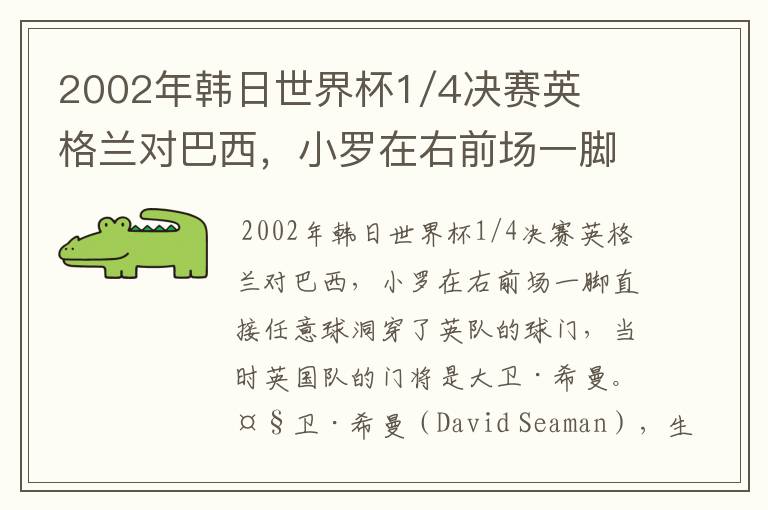 2002年韩日世界杯1/4决赛英格兰对巴西，小罗在右前场一脚直接任意球洞穿了英队的球门，问当时英队的门将是