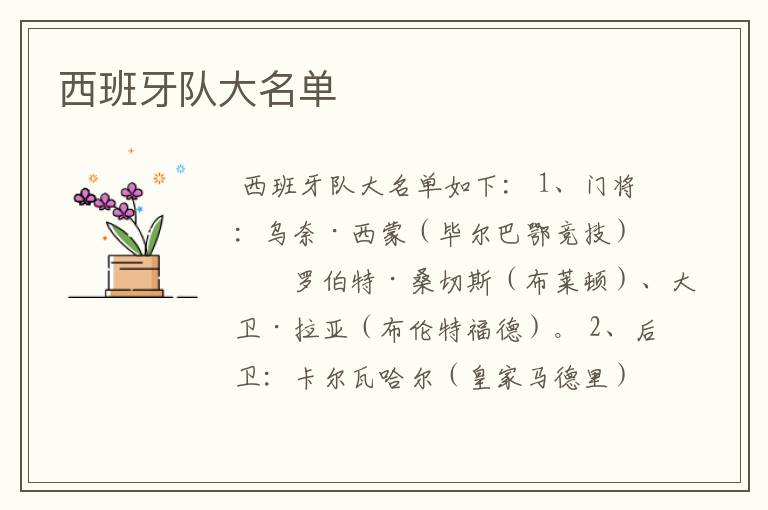 西班牙队大名单