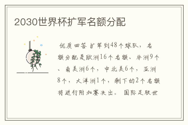 2030世界杯扩军名额分配