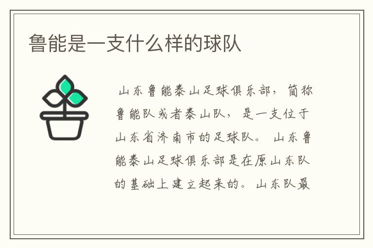 鲁能是一支什么样的球队
