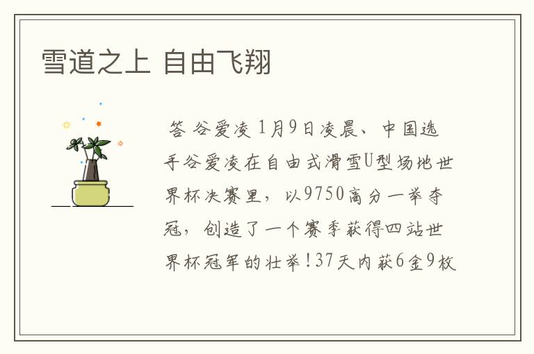 雪道之上 自由飞翔