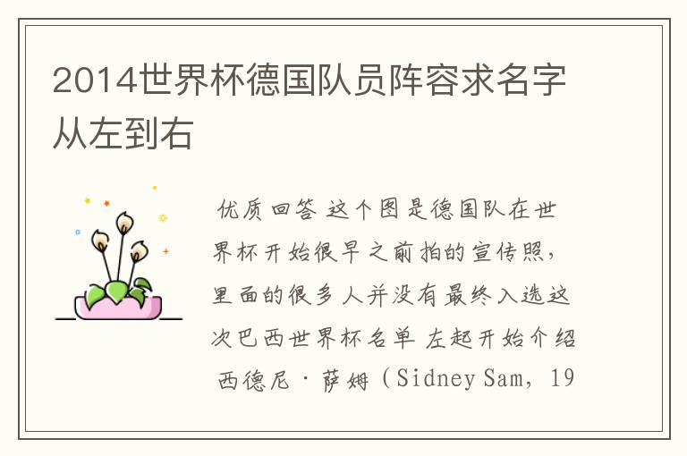 2014世界杯德国队员阵容求名字从左到右
