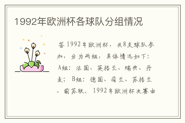 1992年欧洲杯各球队分组情况