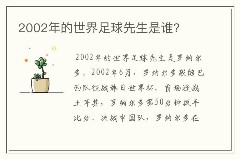 2002年的世界足球先生是谁?