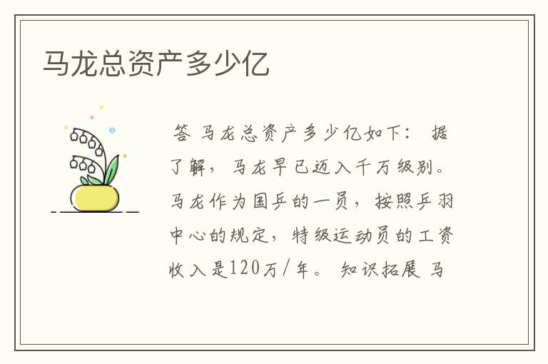马龙总资产多少亿